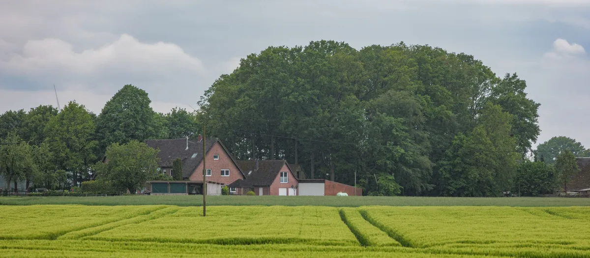 Backsteinhaus mit Garagen am Rand eines Getreidefeldes, dahinter eine hohe Baumreihe